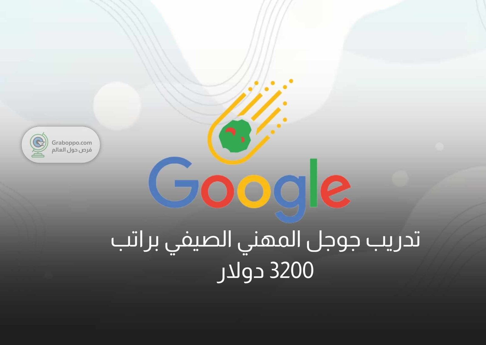 Read more about the article تدريب جوجل المهني الصيفي براتب 3200 دولار