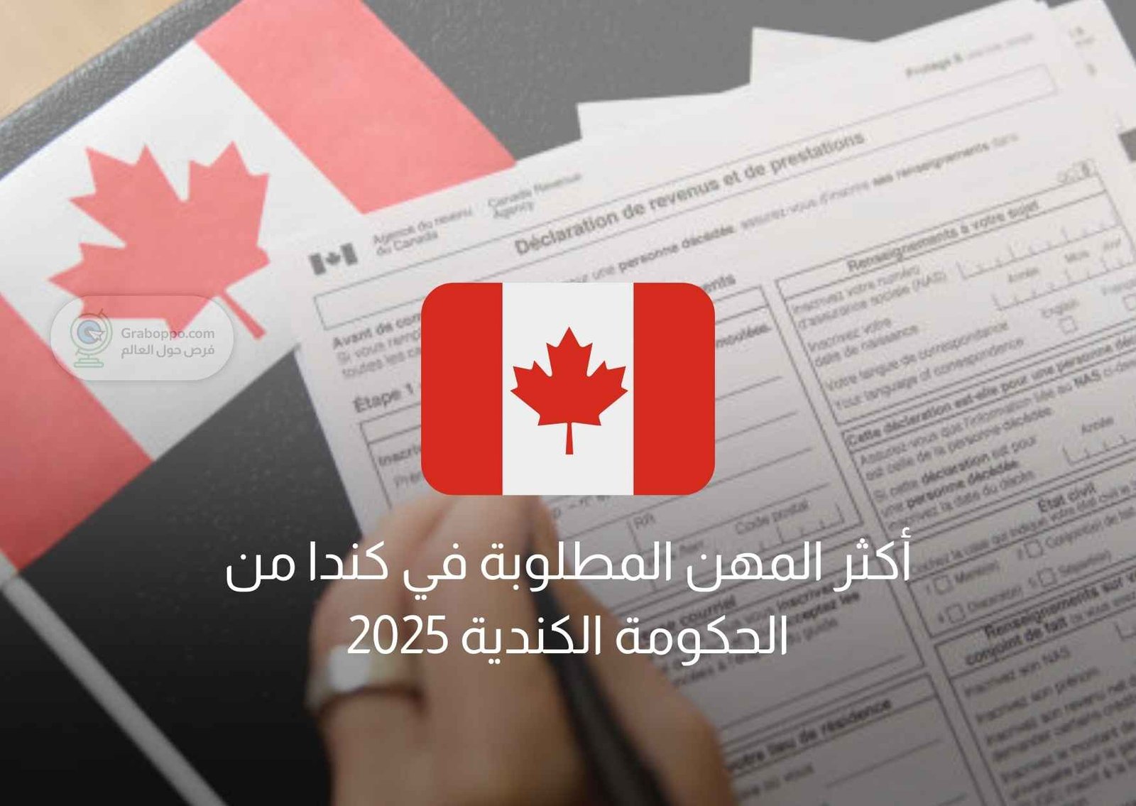 Read more about the article أكثر المهن المطلوبة في كندا من الحكومة الكندية 2025