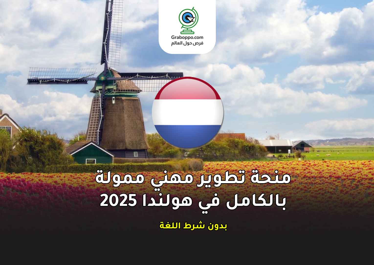 Read more about the article منحة تطوير مهني ممولة بالكامل في هولندا 2025 | فرص للعرب بدون شرط لغة