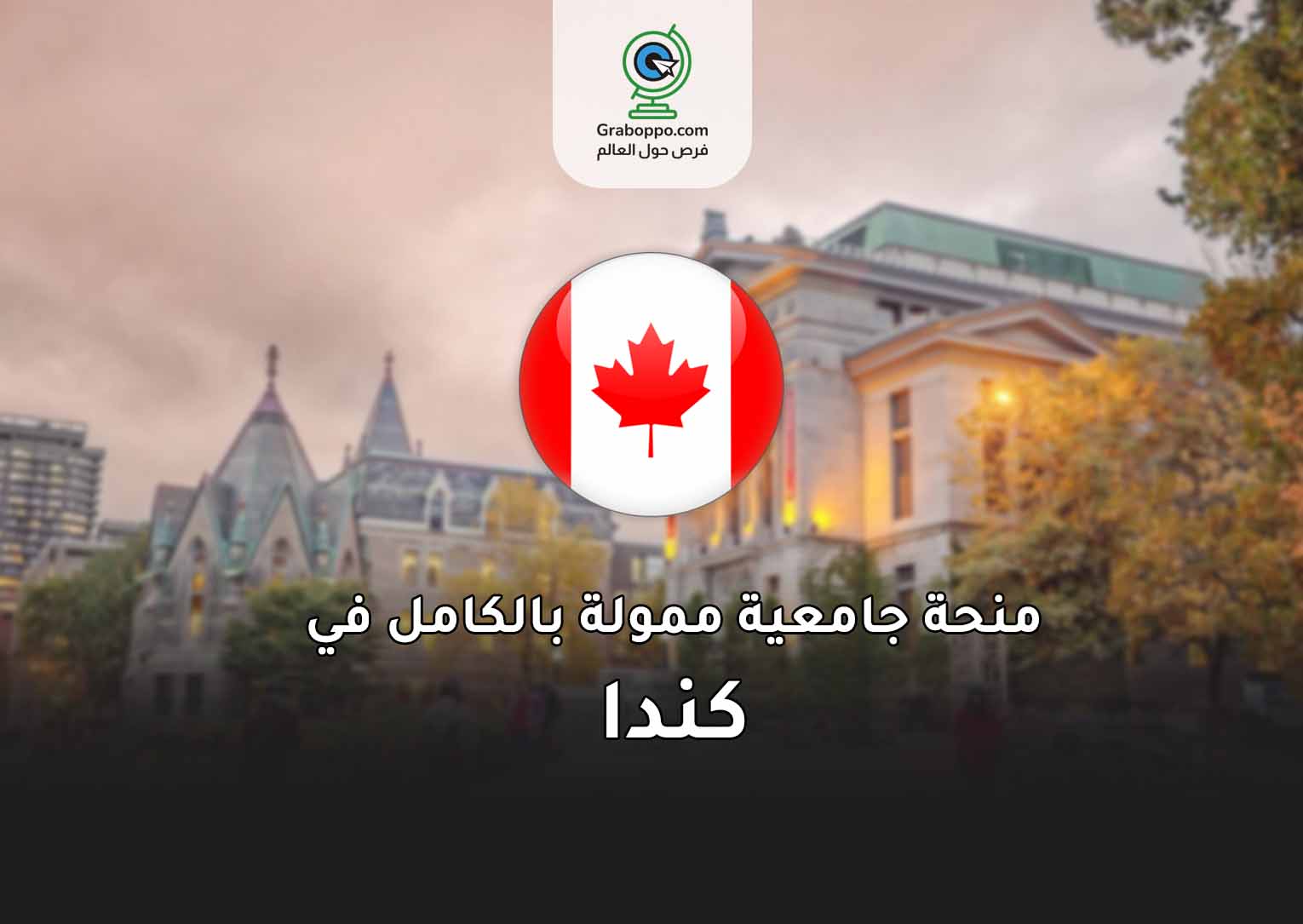 Read more about the article ادرس مجانًا في كندا 2025! جامعة ماكجيل تفتح التقديم الآن لمنح دراسية ممولة بالكامل للطلاب الدوليين