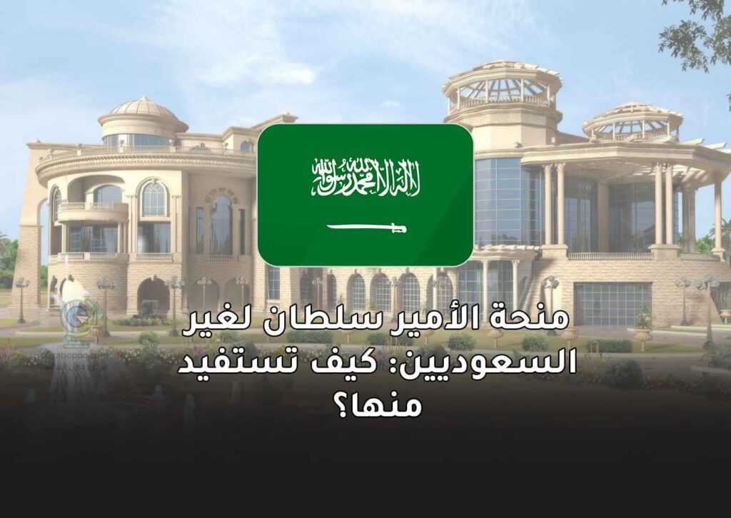 منحة الأمير سلطان لغير السعوديين: كيف تستفيد منها؟