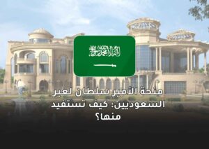 منحة الأمير سلطان لغير السعوديين: كيف تستفيد منها؟