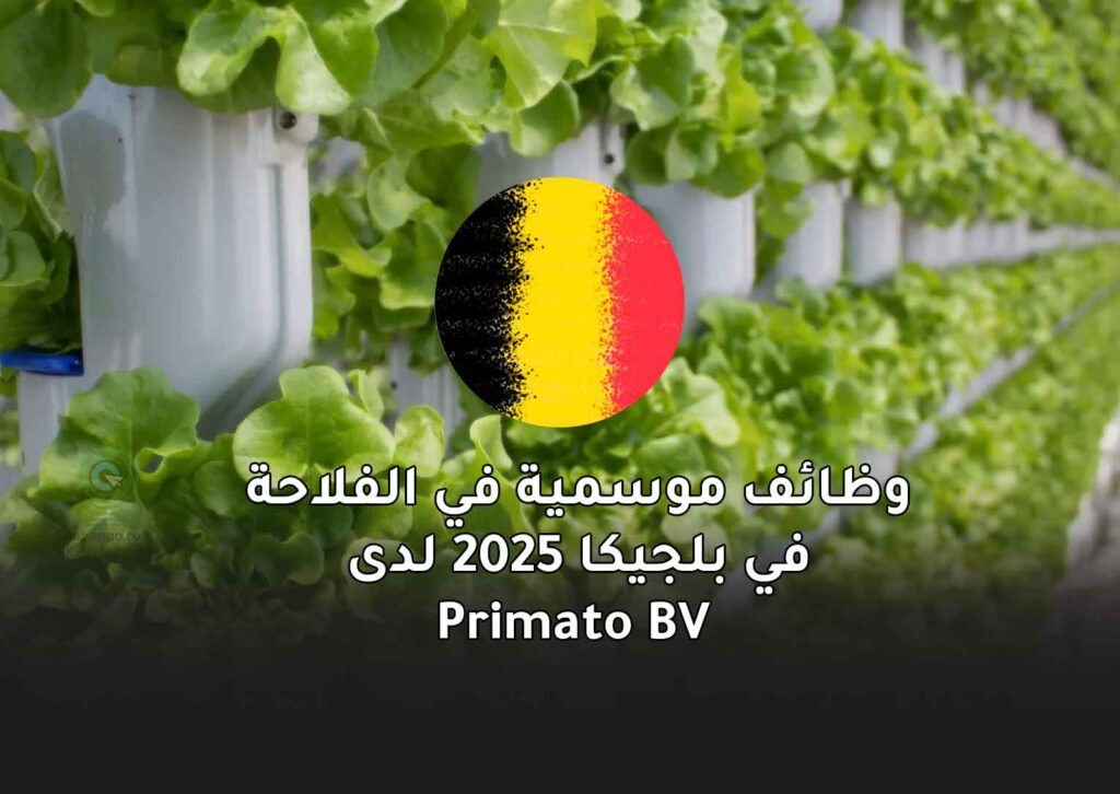وظائف موسمية في الفلاحة في بلجيكا 2025 لدى Primato BV