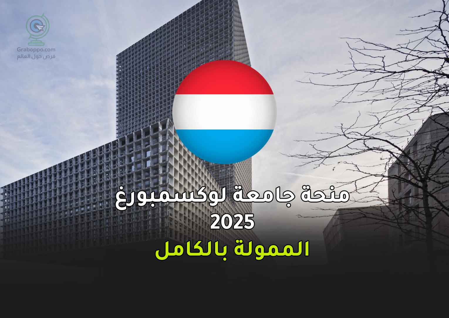 Read more about the article منحة جامعة لوكسمبورغ 2025 الممولة بالكامل
