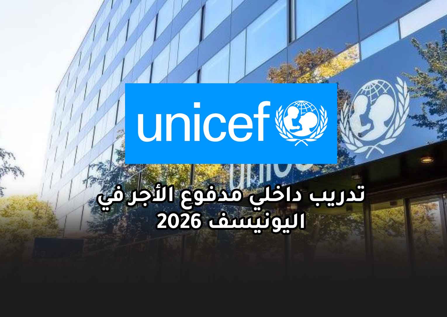 Read more about the article تدريب داخلي مدفوع الأجر في اليونيسف 2026